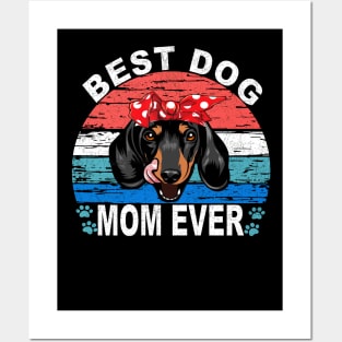 Best Dog Mom Ever - Dachshund Posters and Art